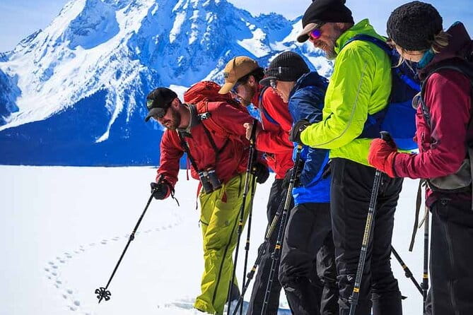 4 Hour Beginner Cross Country Skiing in Grand Teton - The Experience’s Authenticity and Authenticity
