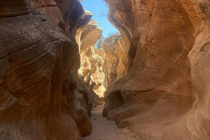 4hr Willis Creek/Bull Valley Gorge/Hoodoos - Is This Tour Worth the Price?