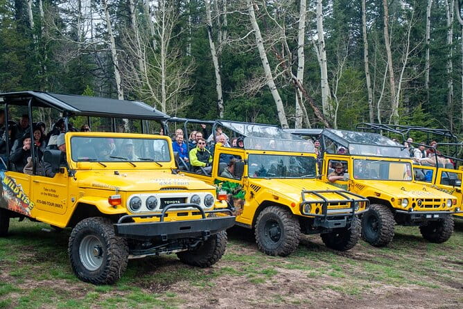 4WD Panoramic Peak Photo Tour in Estes Park - The Guides: Knowledge and Humor