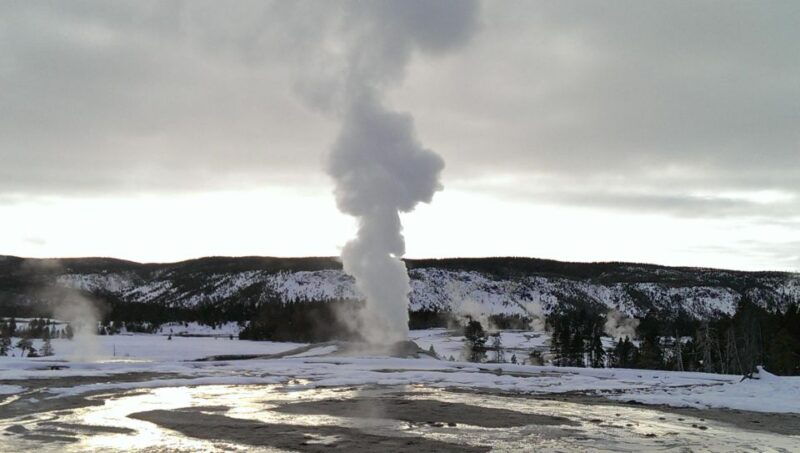 5-Day Winter Yellowstone Wildlife Tour - What Makes This Tour Stand Out