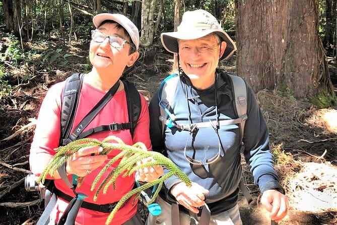6-7 Hours Private Kauai's Hidden Gems Experience with Snacks - Final Thoughts: Who Is This Tour Best For?