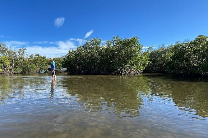 6-Hr Tropical Mangroves, Coastal River and Ocean Wildlife Watch - Group Size & Practicalities
