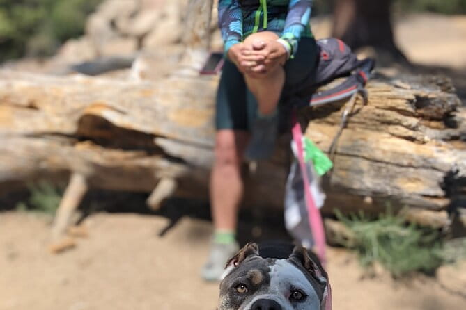 A Local's Favorite Hike in Big Bear with Lake Swimming Experience - The Experience in Detail: What to Expect