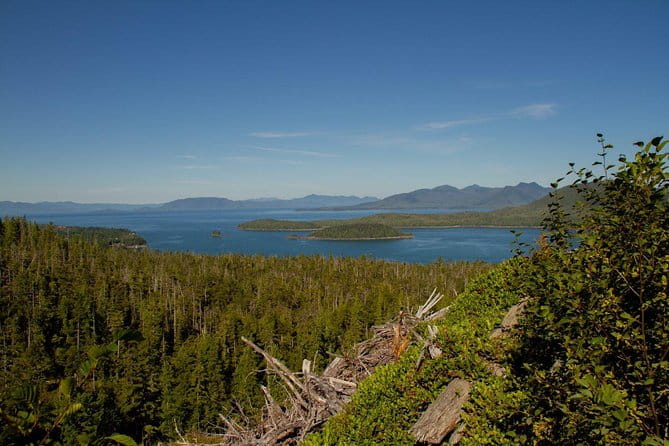Adventure Kart Expedition- Ketchikan, AK - The Pros and Cons