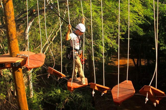 Aerial Challenge Course - Authentic Experiences and Guest Feedback