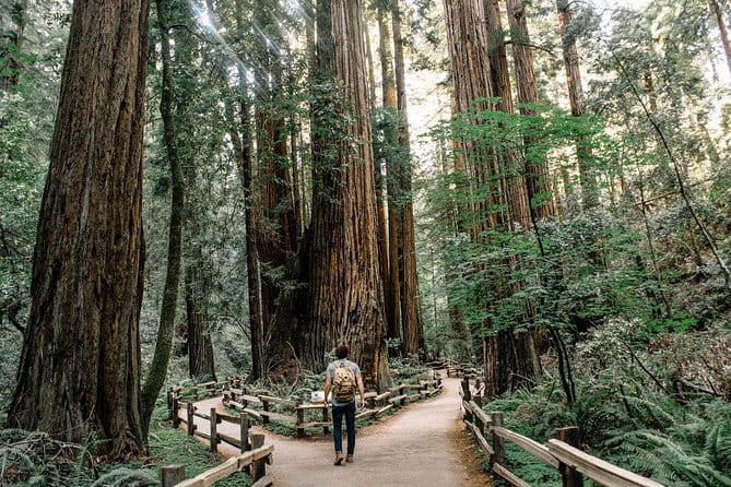 Alcatraz Tour Plus Muir Woods and Sausalito Day Trip - What’s Included and What’s Not