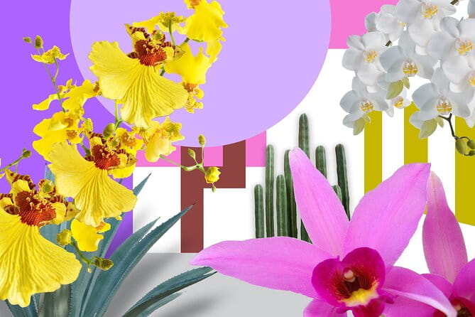 All-Garden Pass for the New York Botanical Garden - Who Will Love This Experience?