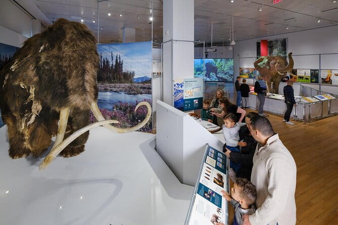 American Museum of Natural History Admission Ticket - Who Is This Tour Best For?