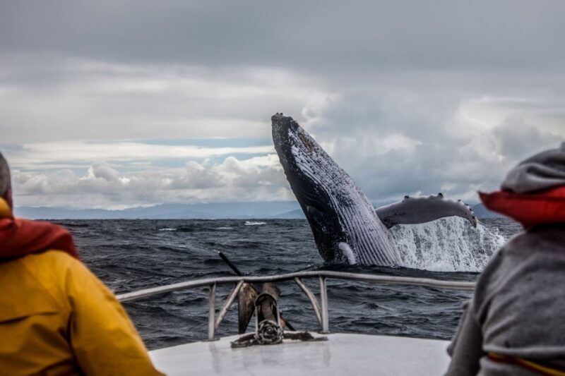 Anchorage: Kenai Fjords & Denali National Park 5 Day Tour - What’s Included and What’s Not