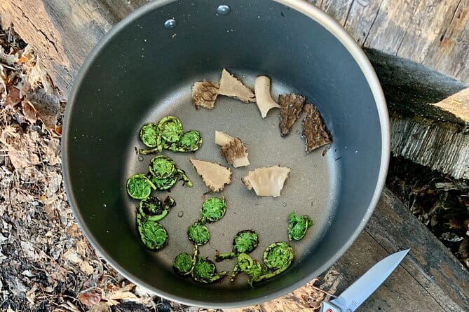 Backcountry Eats & Foraging Treats - FAQ