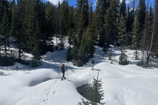 Backcountry snowshoeing in pristine Utah mountains - What Makes This Snowshoe Tour Special?