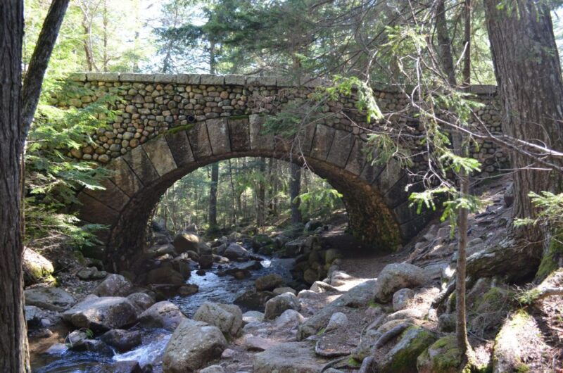Bar Harbor: Acadia National Park Private Tour with Lunch - Why This Tour Offers Great Value