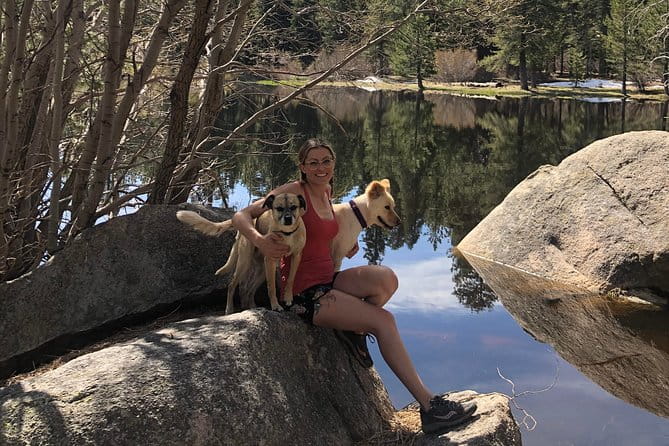 Big Bear Jeep off-road tour with Hike to Bluff Lake Reserve - What to Expect During the Tour