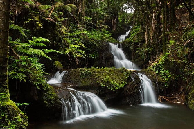 Big Island Hawaii Self-Guided Driving Tour - What Reviewers Say