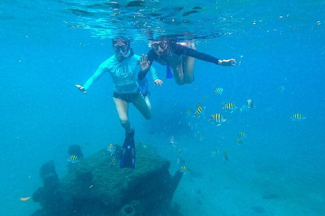 Blue Heron Bridge Guided Snorkel Tour - Practical Tips for a Great Snorkeling Day