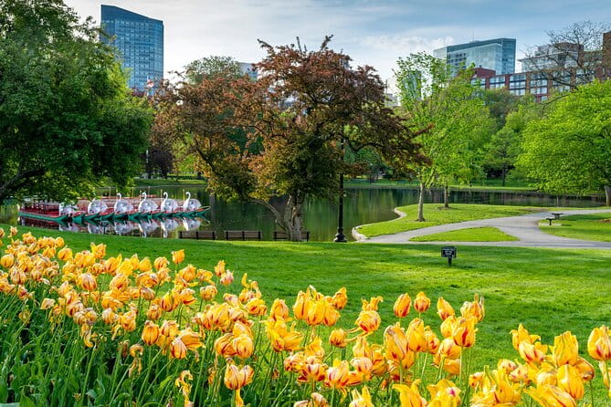 Boston: Votes for Women History Tour of Back Bay - The Experience and Practicalities