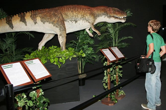 Branson Dinosaur Museum Admission Ticket - The Itinerary: What to Expect