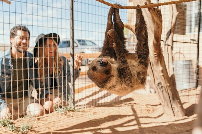 Camel Safari - Camel Ride and Zoo Tour - What Travelers Are Saying