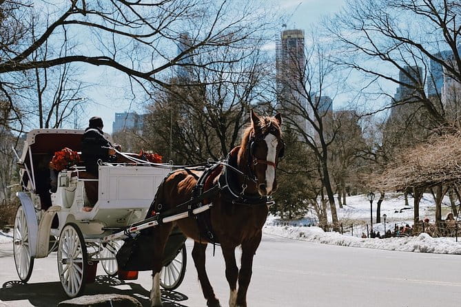 Central Park New York - Exclusive Guided Walking Tour - FAQ