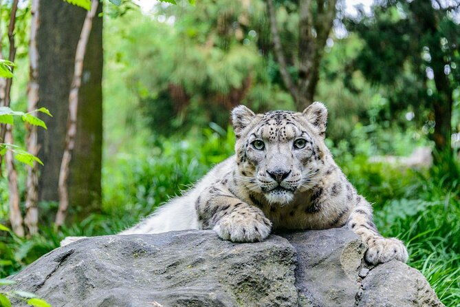 Central Park Zoo Admission Ticket with 4D Theater Access - Who Should Consider This Tour?