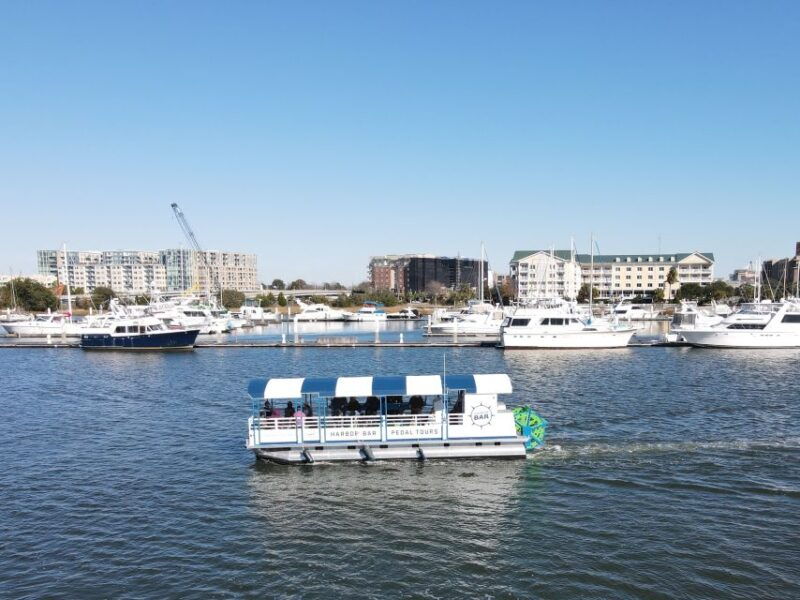 Charleston: Harbor Bar Pedal Boat Party Cruise - The Experience: What to Expect on the Water