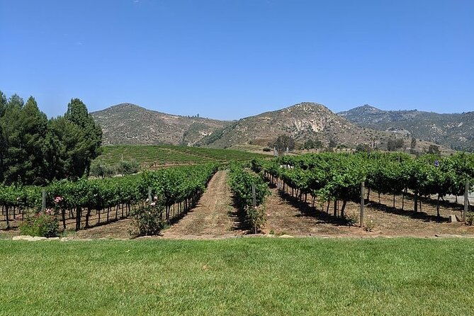 Chauffeured Adventure to Local San Diego Vineyards - FAQ