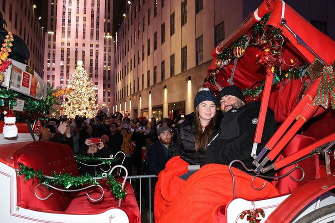Christmas Light Private Carriage Ride New York City - Who Will Love This Tour?
