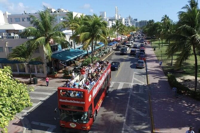 City Half Day Tour of Miami by Bus with Sightseeing Cruise - How Does It All Come Together?