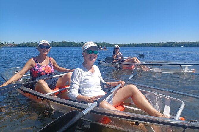 Clear Kayak Glass Bottom Day Tour - Sarasota - What to Expect from the Sarasota Clear Kayak Tour