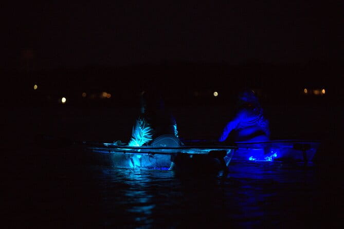 Clear Kayak Glow Tour Destin Ft. Walton Beach - The Experience Itself — What’s Included and What You’ll Do