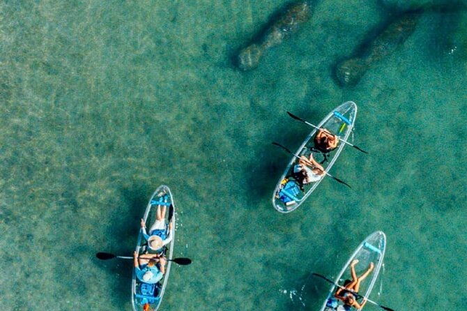 Clear Kayak Peanut Island Guided Tour Palm Beach Singer Island - What’s Included and What’s Not