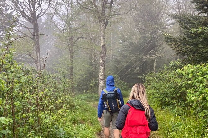 Clingmans Dome Hike - Practical Details and Cost-Effectiveness