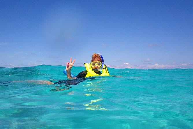 Coral Reef Private Snorkel tour out to John Pennekamp Coral Reef State Park - The Experience: What You Can Expect