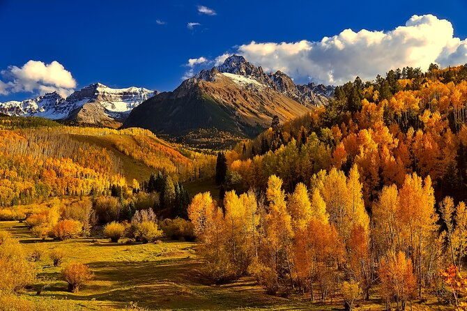 Creative Soul Scavenger Hunt of Steamboat Springs - Who Should Consider This Tour?