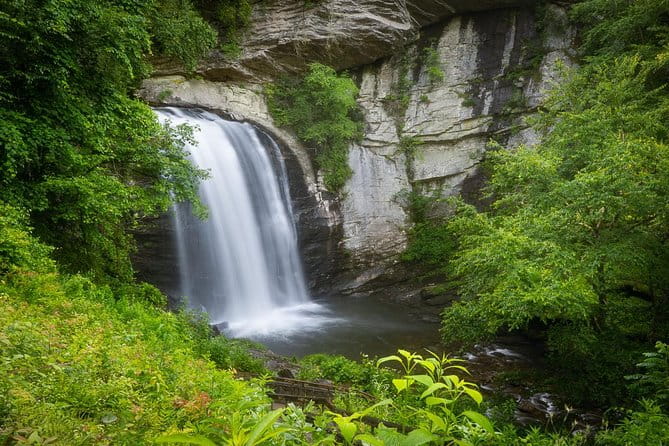 Custom Half-Day Photo Tour with Photography Lessons from Asheville - Authentic Insights from Participants
