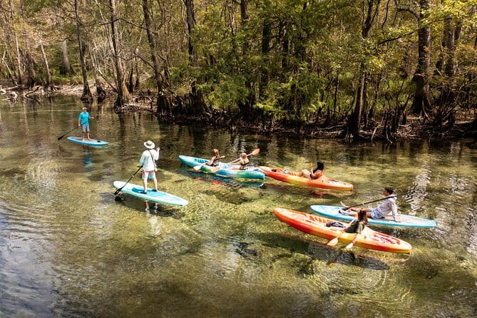 Cypress Springs Eco Adventure - The Highlights of the Springs