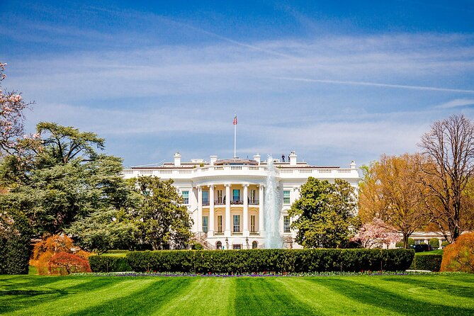 DC Highlight Day Tour - Authentic Experiences Highlighted in Reviews