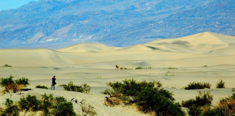 Death Valley: Full-Day Tour from Las Vegas - What to Expect from the Tour