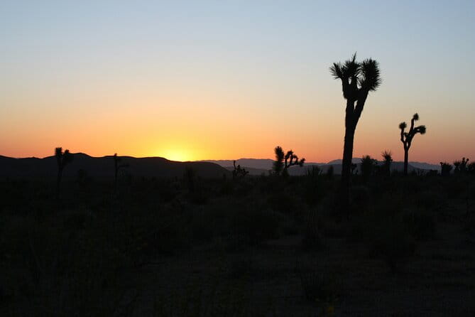 Death Valley Small Group Day Tour with Sunset and Stargazing - What the Tour Includes and What It Doesn’t