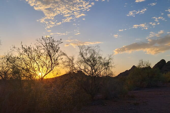 Desert Botanical Garden Sunset Nature Walk & Dinner. Phoenix 2.5h - Final Thoughts