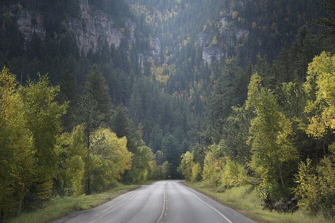 Devil's Tower - Deadwood - Spearfish Canyon Waterfalls + Picnic - Who This Tour Is Best For
