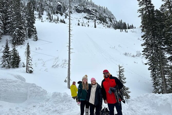 Discover Mt. Rainier – Private Full-Day Tour - Why This Tour Stands Out