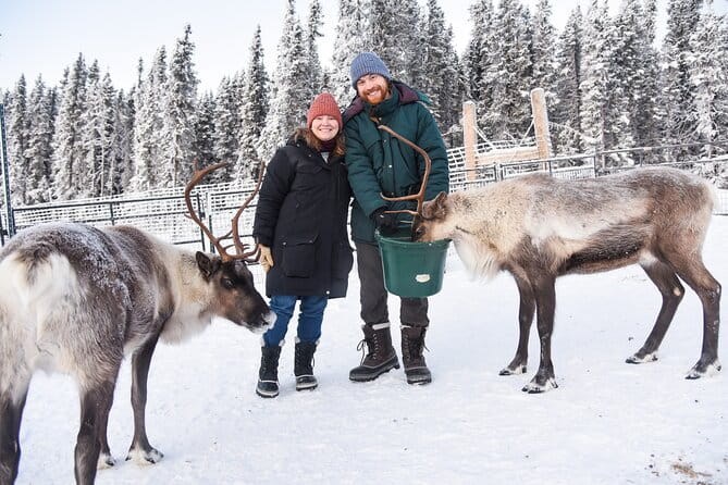 Dogsled and Reindeer Day Trip to Borealis Basecamp - Practical Details and Tips