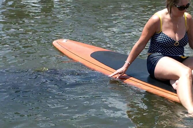 Dolphin and Manatee Adventure tour of Osprey with Florida History - Authentic Insights from Other Travelers