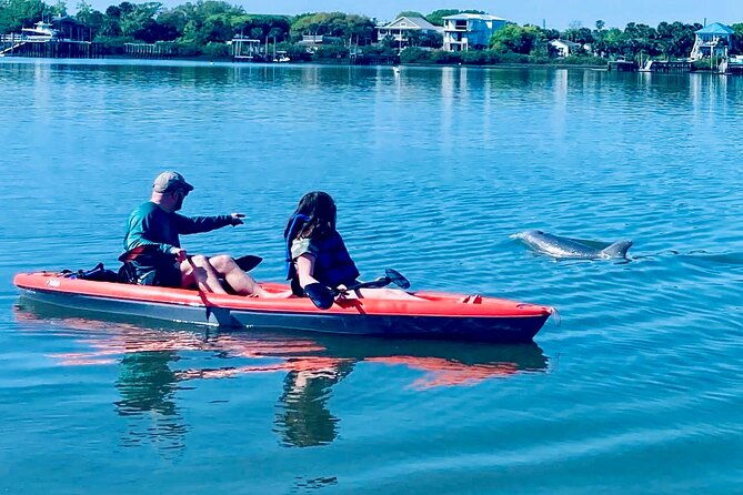 Dolphin, Manatee and Sea Turtle Kayak Adventure - FAQ
