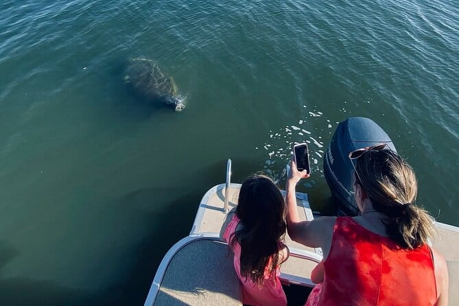 Dolphin/Manatee Pontoon Boat Tour with Local Expert - First Stop: Indian River Shores