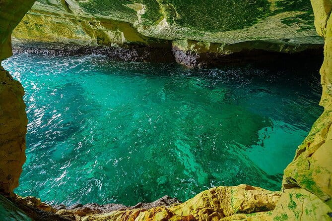 Dolphin, Sea Cave, Captain Cook, Kealakekua Bay Reef Snorkeling - The Experience: Small Boat, Big Adventure