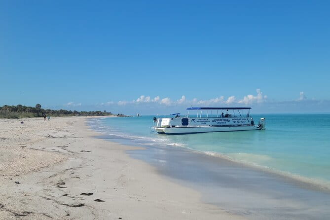 Dolphin /Shelling/Snorkeling tours Private Charters - What to Expect on the Vessel