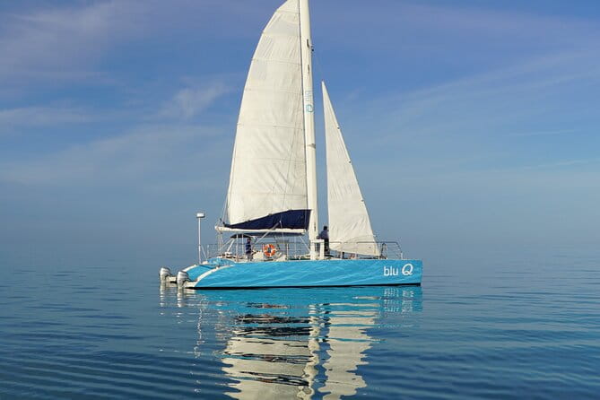 Dolphin Watch + Sunset Sail with Honest Eco - Who Will Love This Tour?