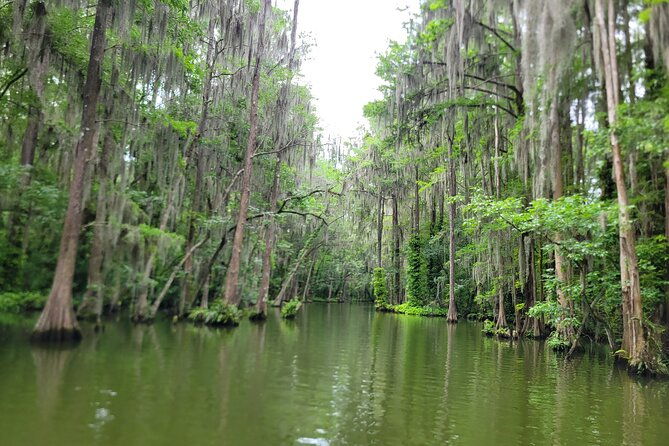Dora Canal Half-Day Kayak and Paddle Board Rental Adventure - In Summary